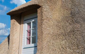 Highlands thatch roof disadvantages