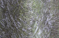 Highlands fibreglass roof work